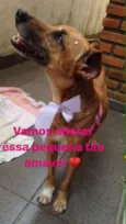 Menina