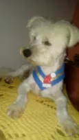 Niki 