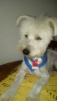 Niki 