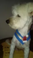 Niki 