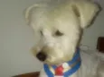 Niki 