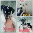 Sem nomes