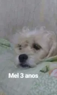 Mel 