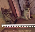 Sem nomes