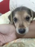 Nina