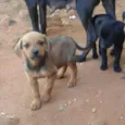 Não tem