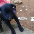 Não tem