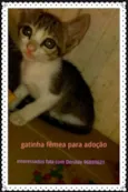 Não tem nome