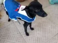Esméria