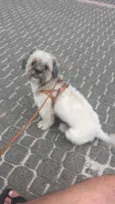 Teo