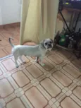 Teo
