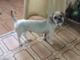 Teo