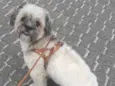 Teo