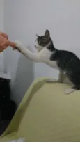 Dudu