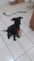 PAÇOCA