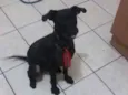 PAÇOCA