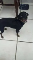 Não tem nome
