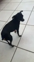 Não tem nome