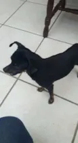 Não tem nome