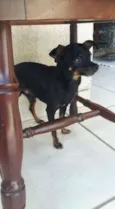 Não tem nome