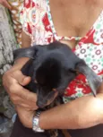 Não tem nome