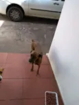 Lua