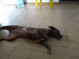 Lua