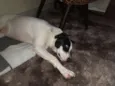 LUPITA