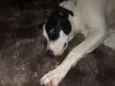 LUPITA