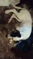 LUPITA