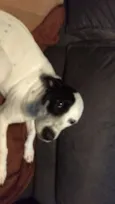 LUPITA