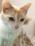 Linda