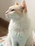 Linda