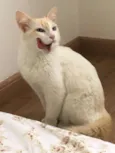 Linda