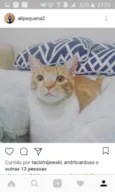 CHICO