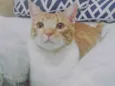 CHICO