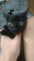 Lindos