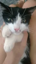 Lindos