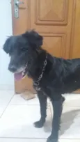 Buba