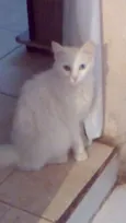 Mimi