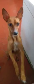 Vitória