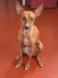 Vitória