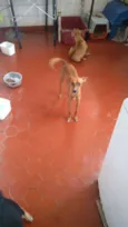 Vitória