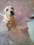 Nina