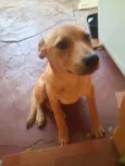 Nina