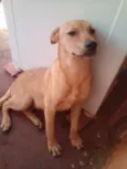Nina