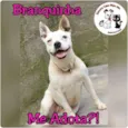 Branquinha