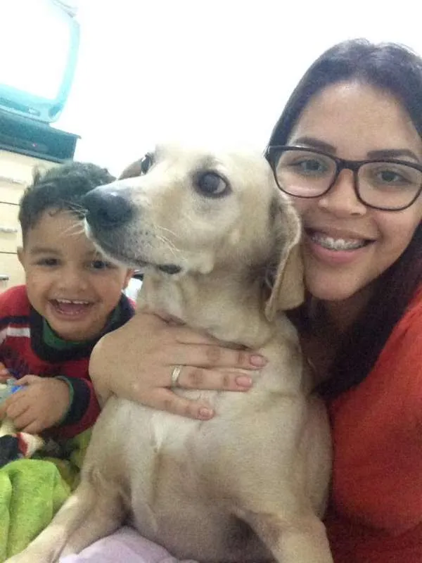 Cachorro ra a Vira lata idade 4 anos nome Marley