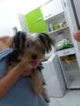 Marley