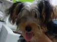 Marley